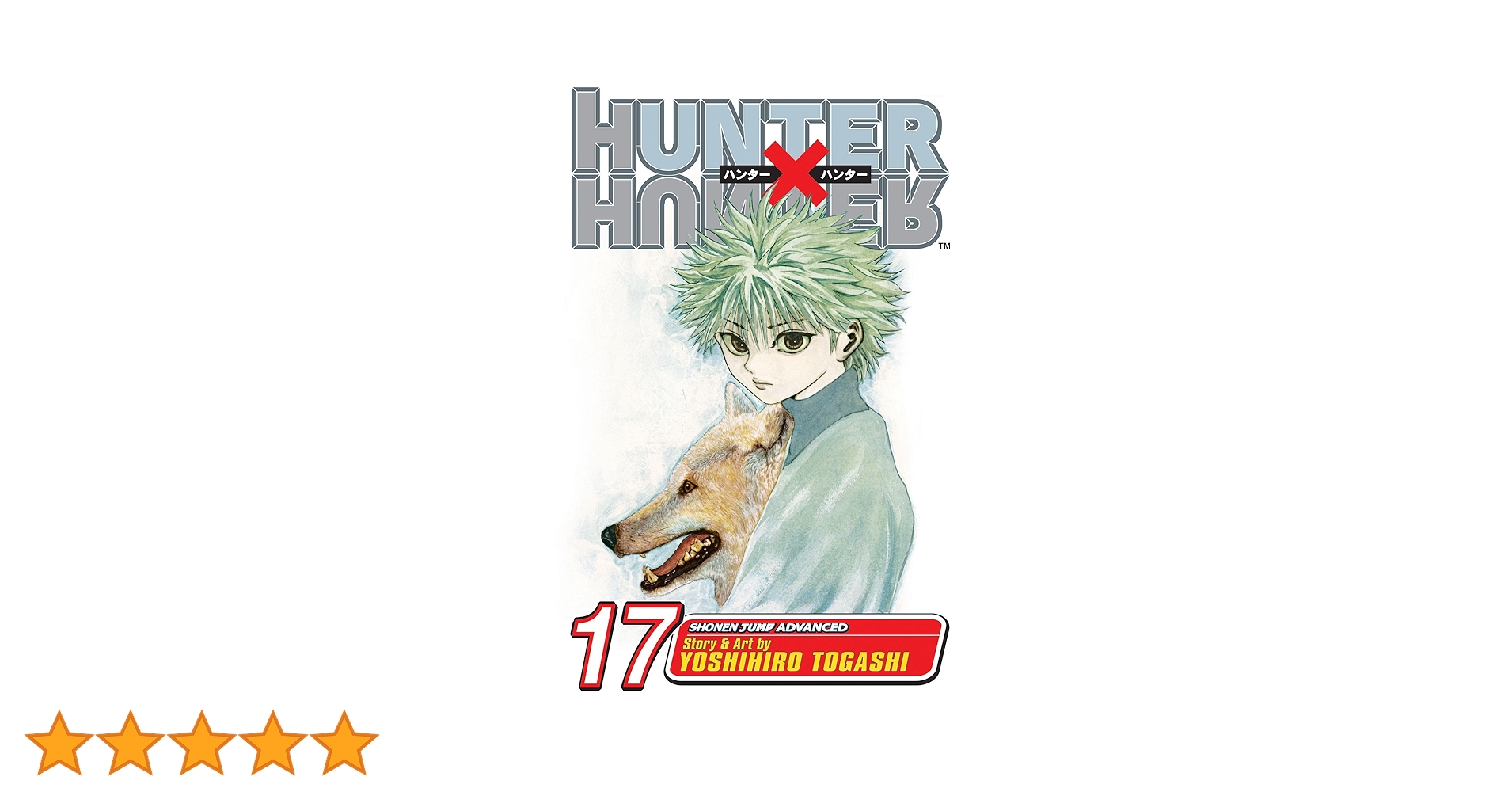 Amazon | Hunter x Hunter, Vol. 17 (17) | Togashi, Yoshihiro